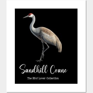 Sandhill Crane - The Bird Lover Collection Posters and Art